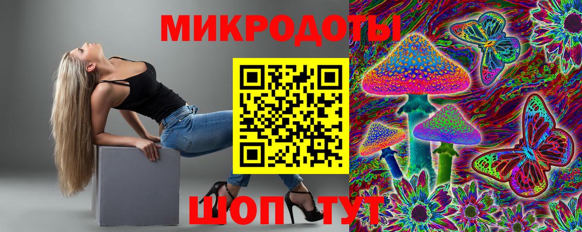 Псилоцибиновые грибы Psilocybe Саров