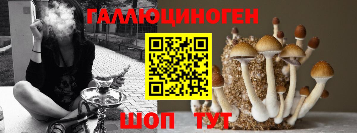 Псилоцибиновые грибы Psilocybe  Вход с VPN  где можно купить наркотик  Саров 